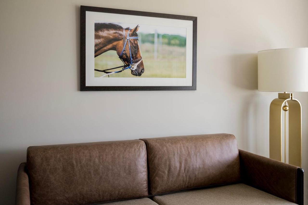 The William Inglis Mgallery Warwick Farm Εξωτερικό φωτογραφία A framed photograph of a horse